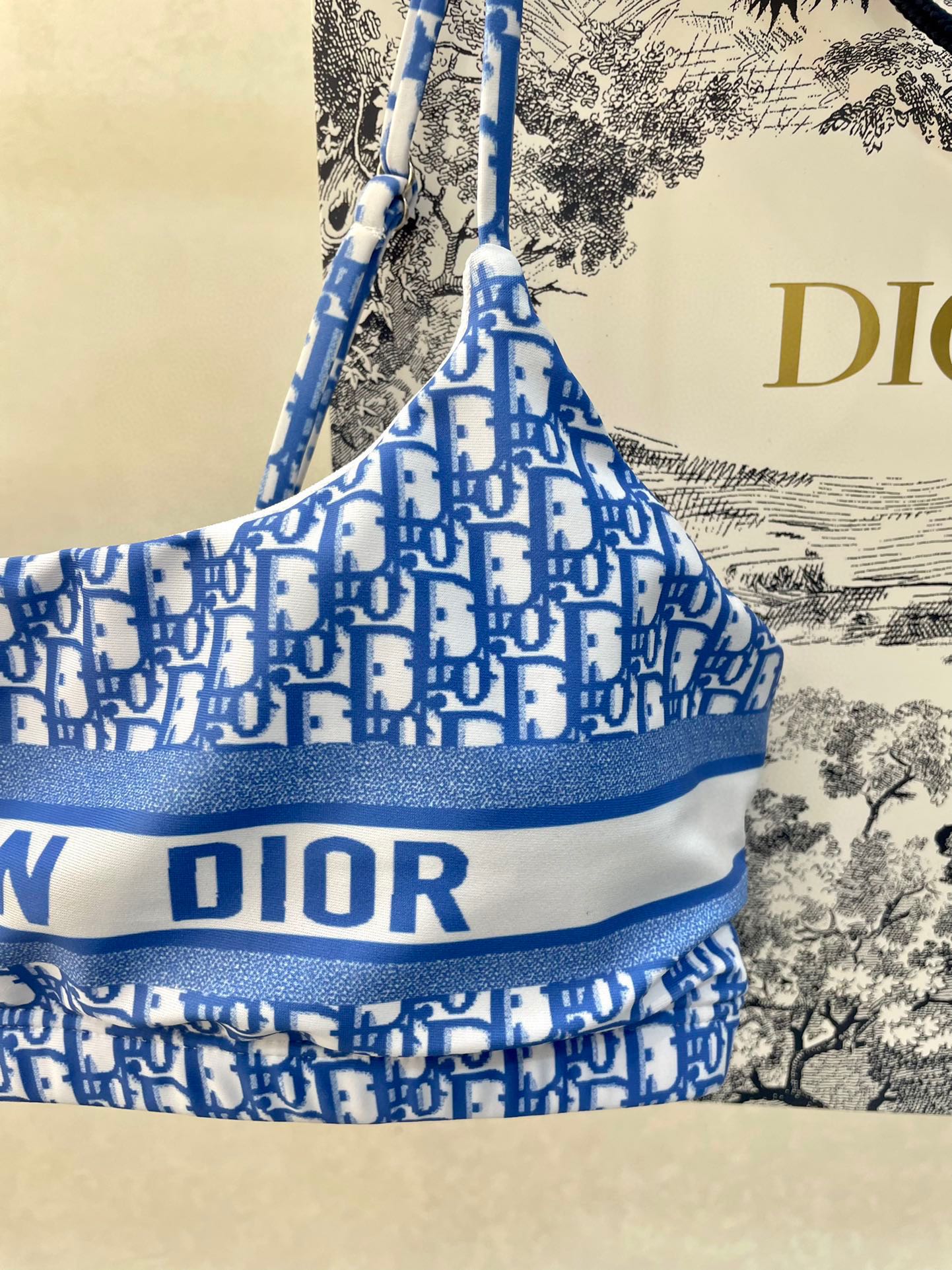 Dior new split swimsuit
