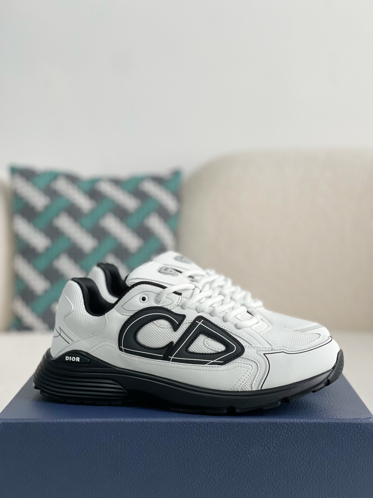 Dior B30 New Sneaker