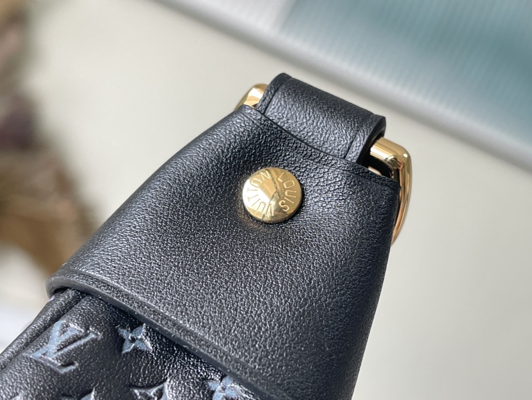 𝐋𝐎𝐔𝐈𝐒 𝐕𝐔𝐈𝐓𝐓𝐎𝐍   M22591