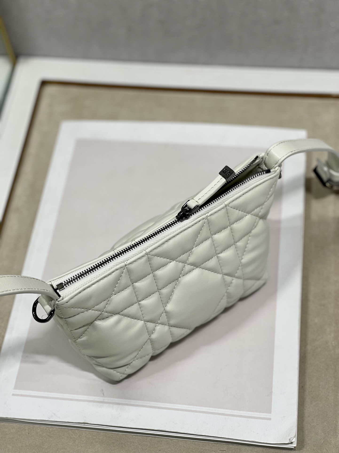 Dior Travel Nomad Clutch Bag