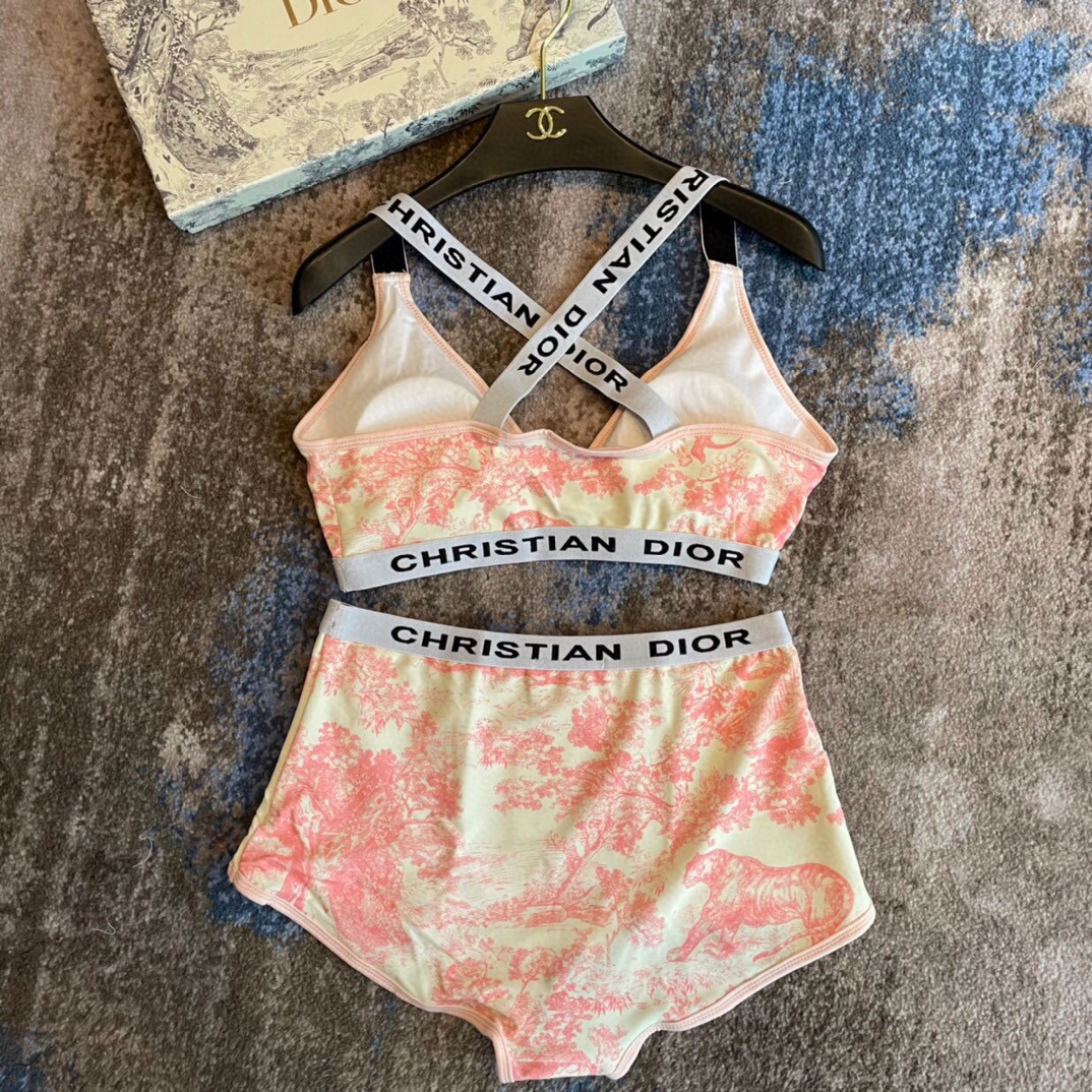 Dior split bikini swimming costume