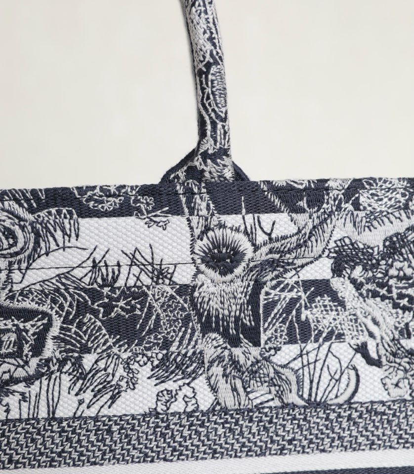 DIOR TOTE blue striped tiger