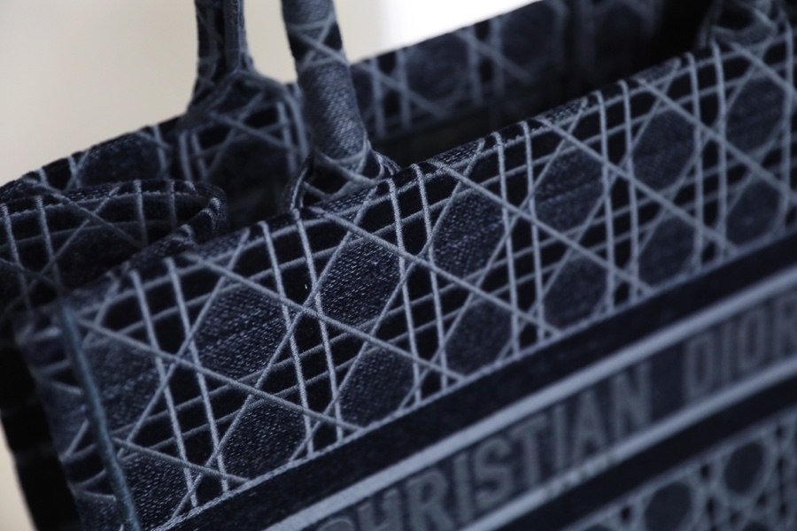 DIOR TOTE embroidered vine check blue