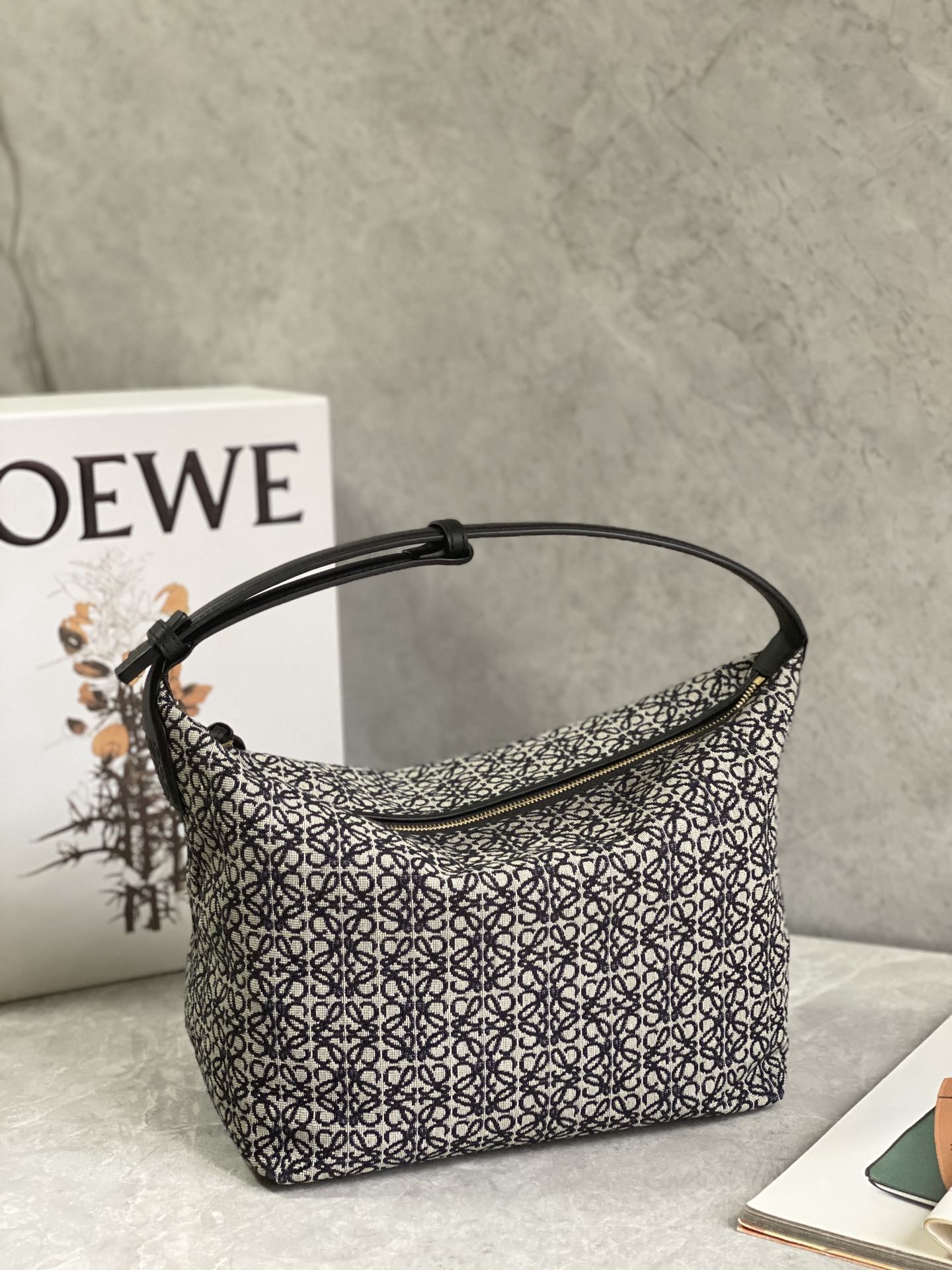LOEWE cubi bento bag