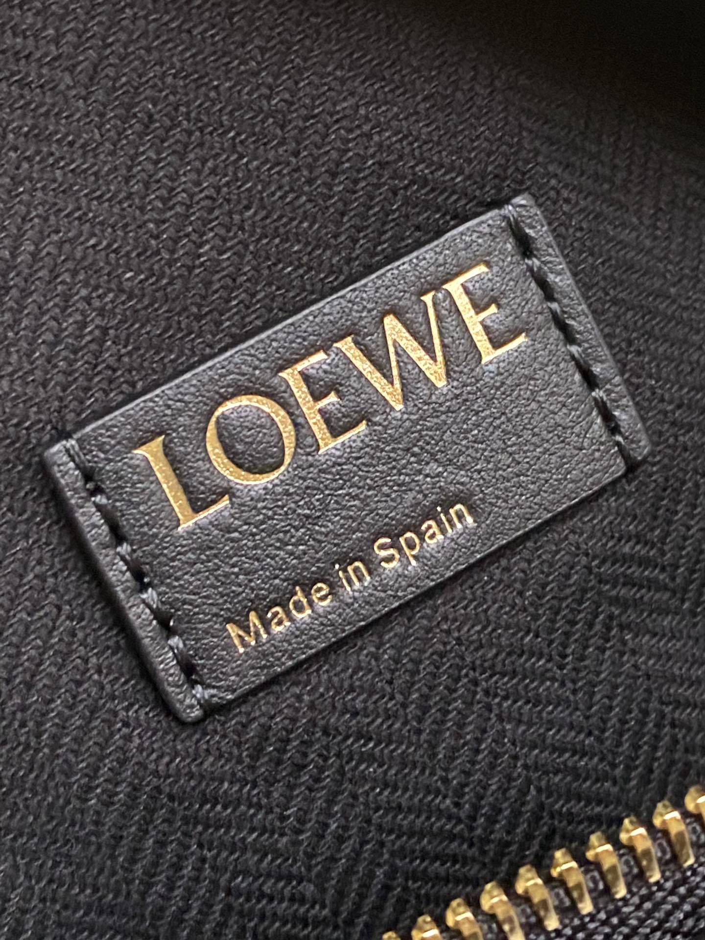 LOEWE cubi bento bag