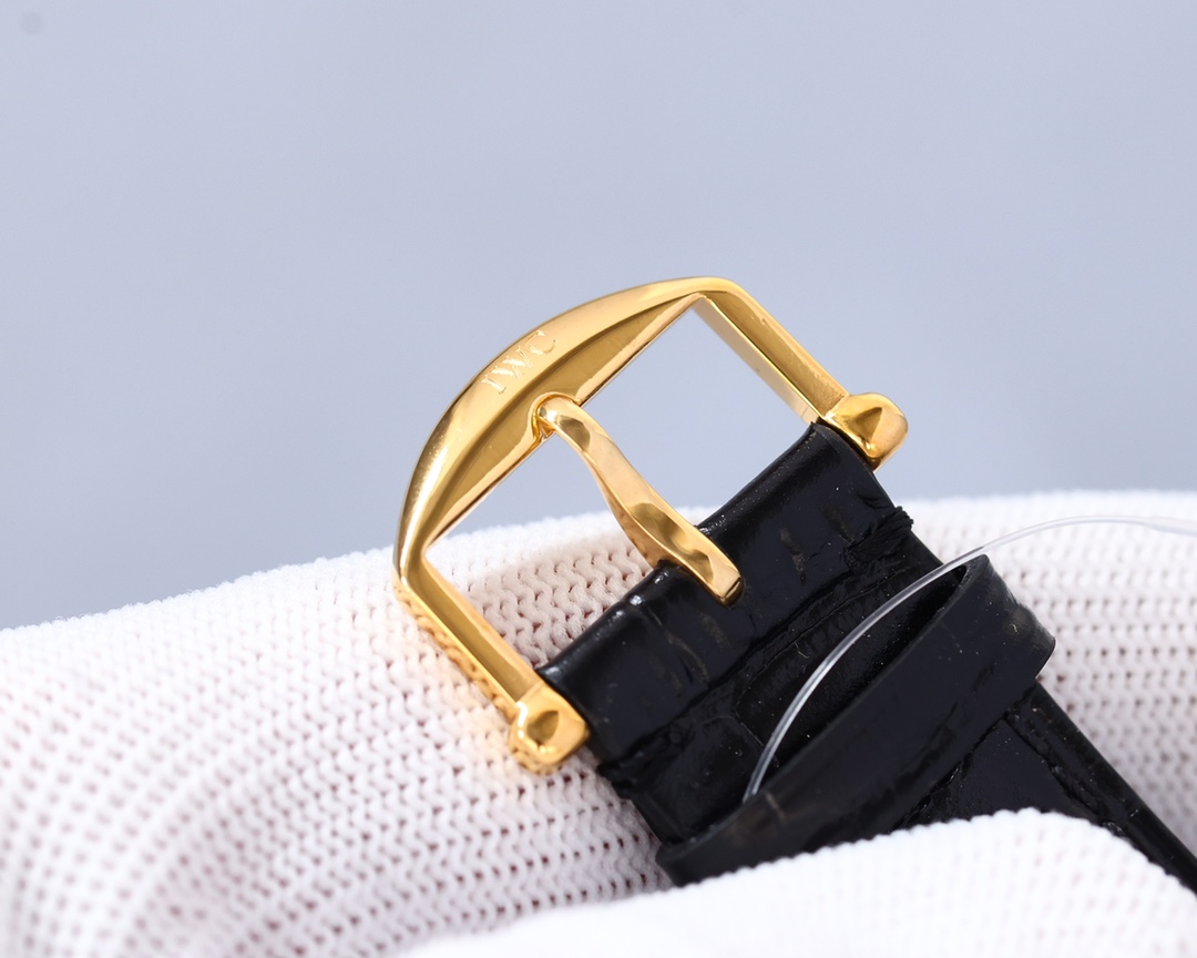 IWC- Portofino Men's Watch Movement EAT2836 in imported calfskin