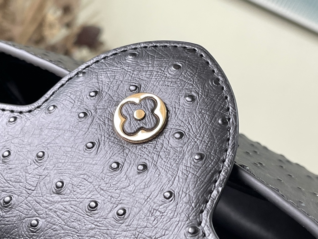 𝐋𝐎𝐔𝐈𝐒 𝐕𝐔𝐈𝐓𝐓𝐎𝐍    M95393