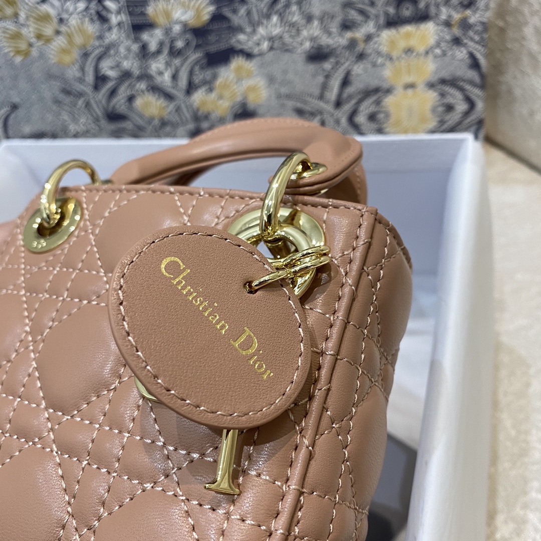 Dior Lady's new micro collection