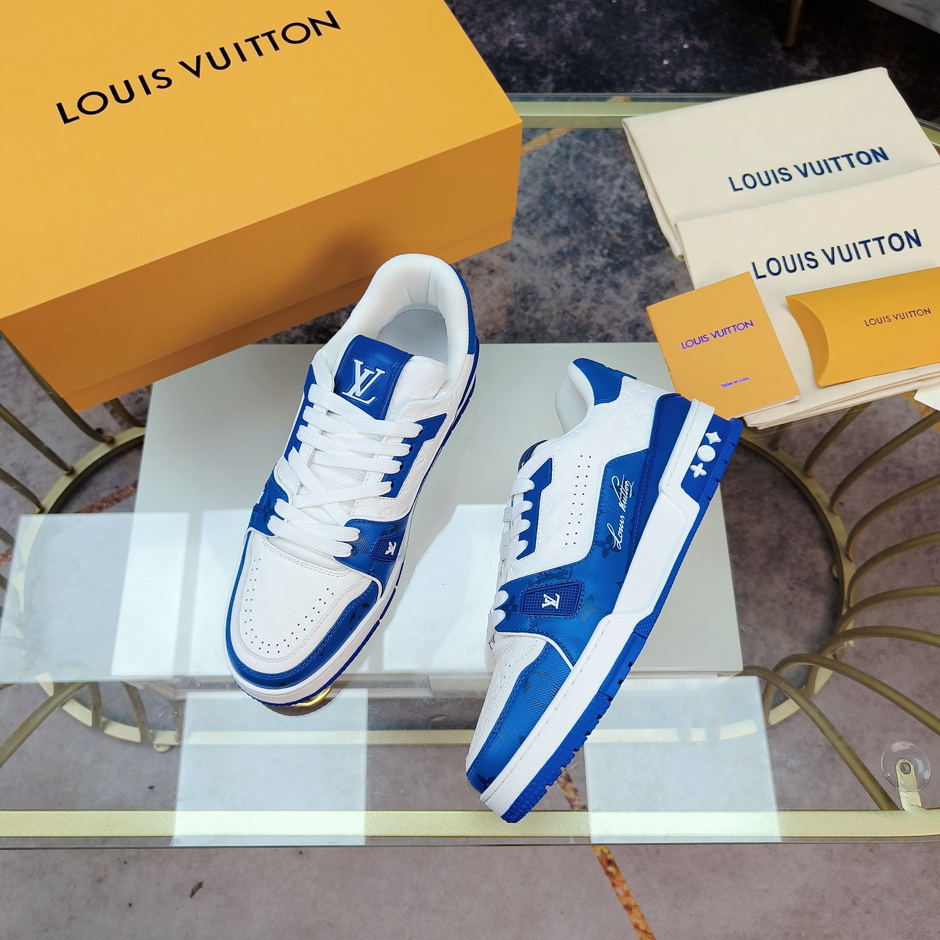 Louis Vuitton TRAINER sneakers