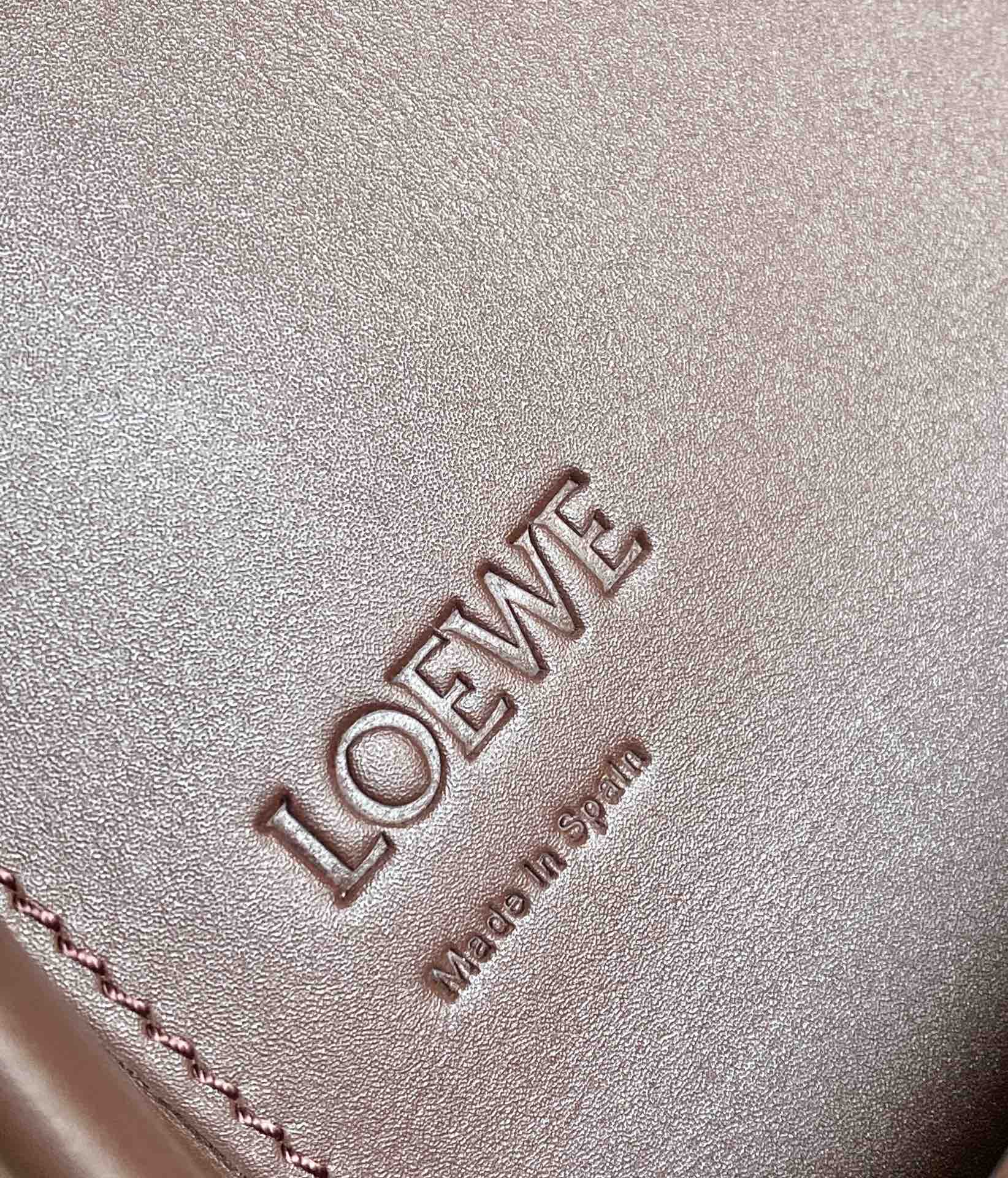 LOEWE Heel duo series