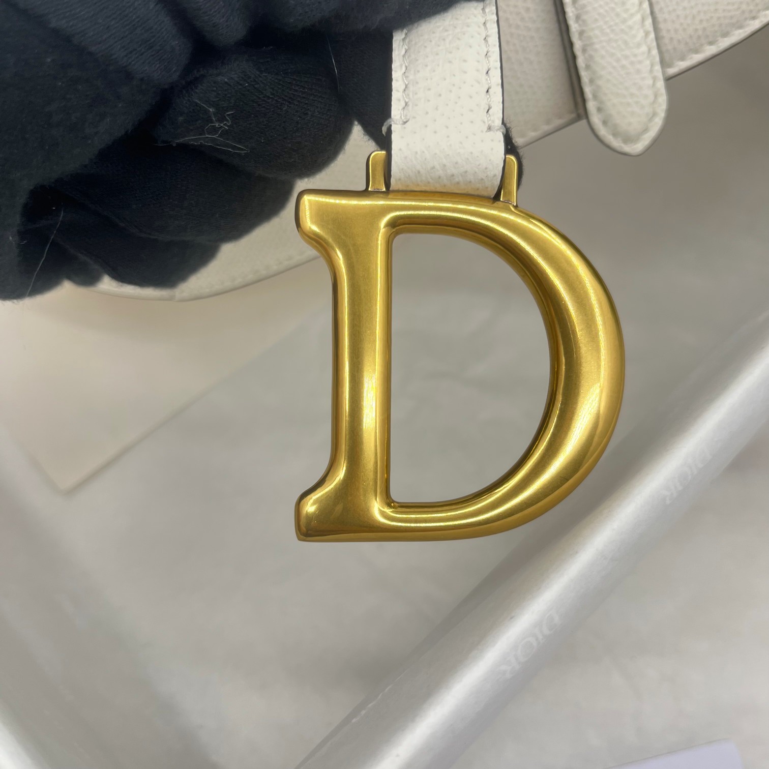 Dior saddle palm print collection