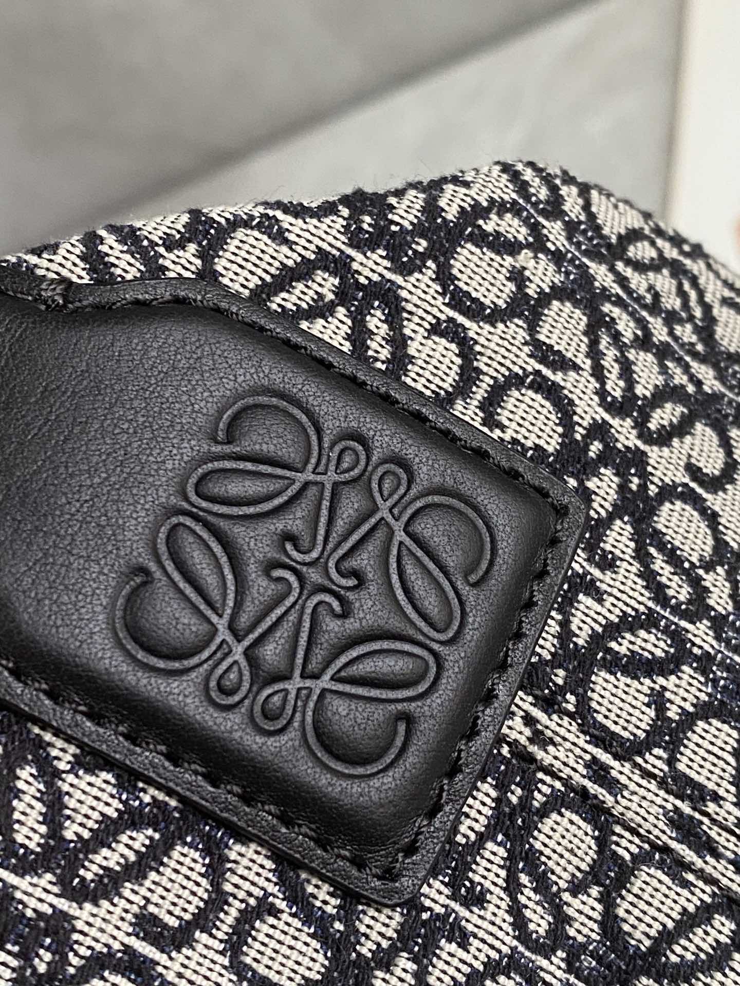 LOEWE cubi bento bag