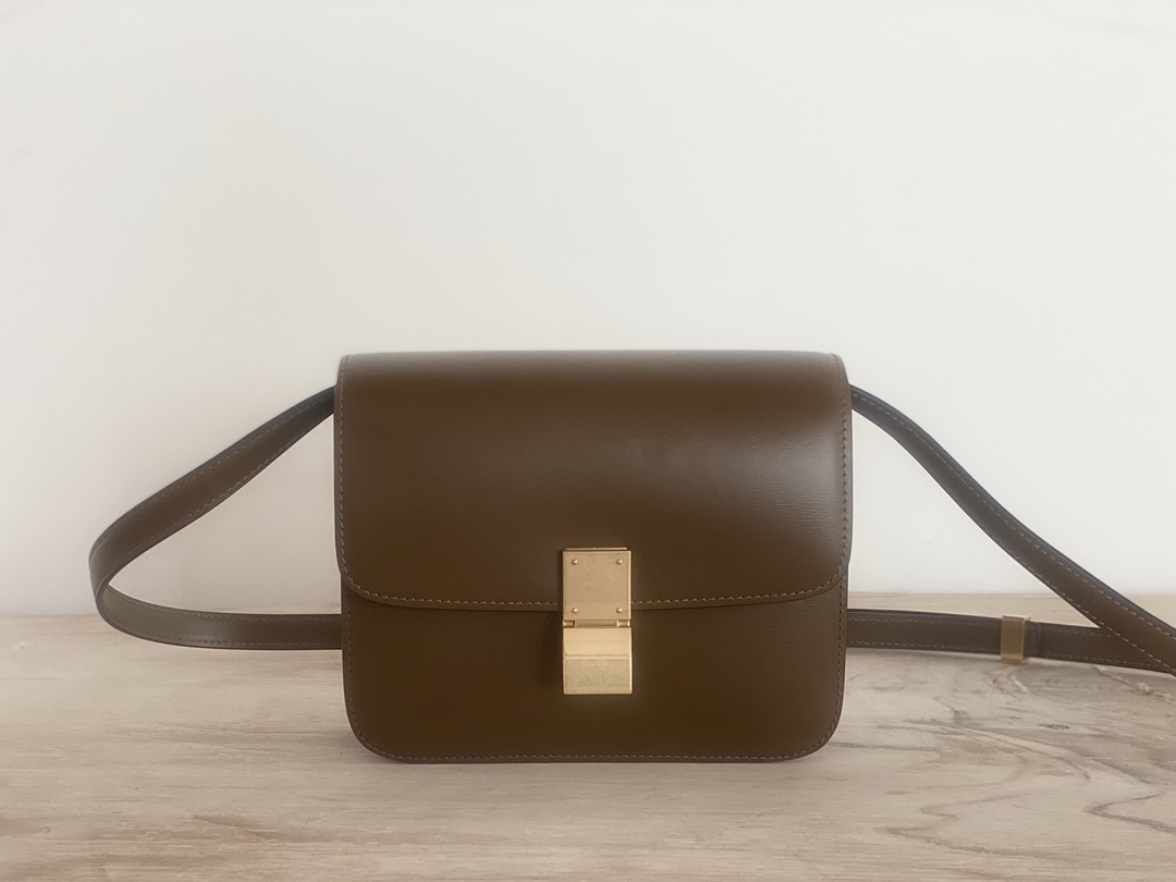 𝐂𝐞𝐥𝐢𝐧𝐞 Box Teen bag in polished calfskin