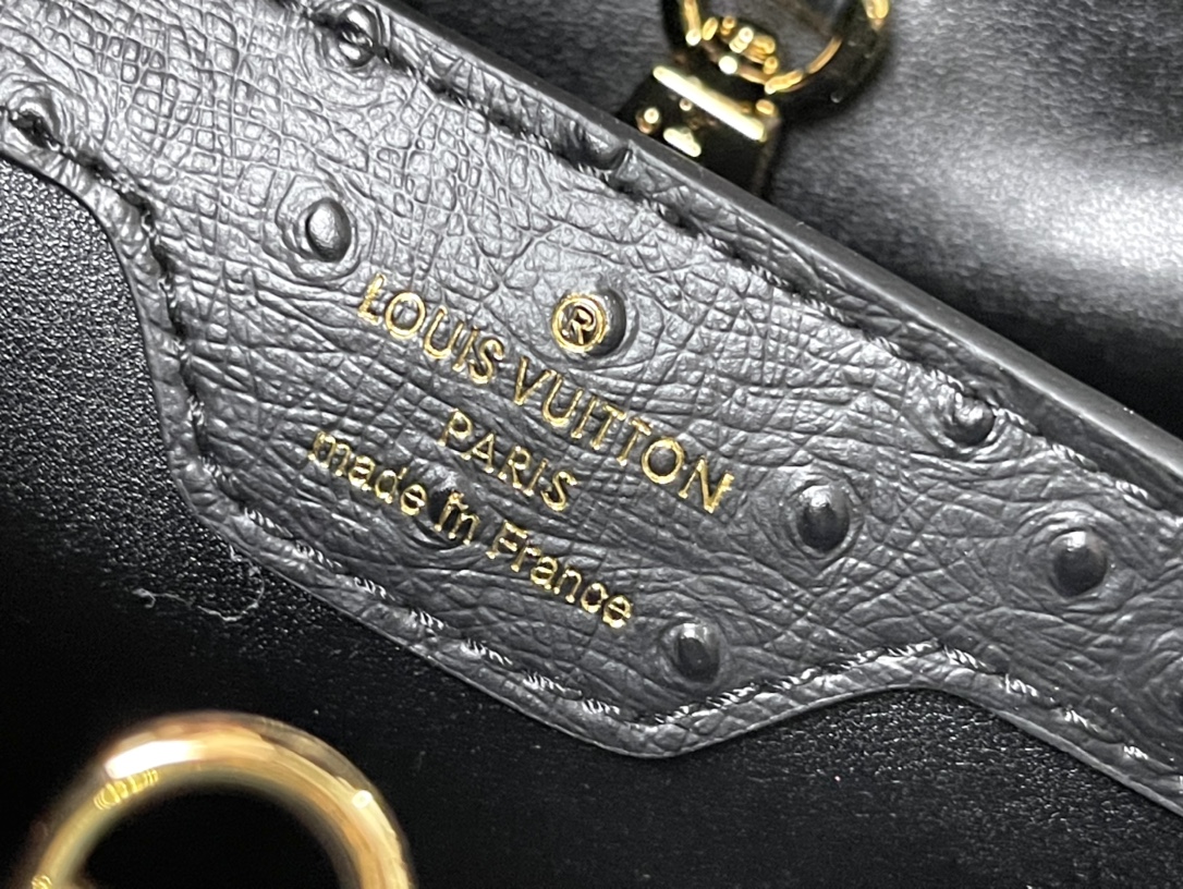 𝐋𝐎𝐔𝐈𝐒 𝐕𝐔𝐈𝐓𝐓𝐎𝐍    M95393