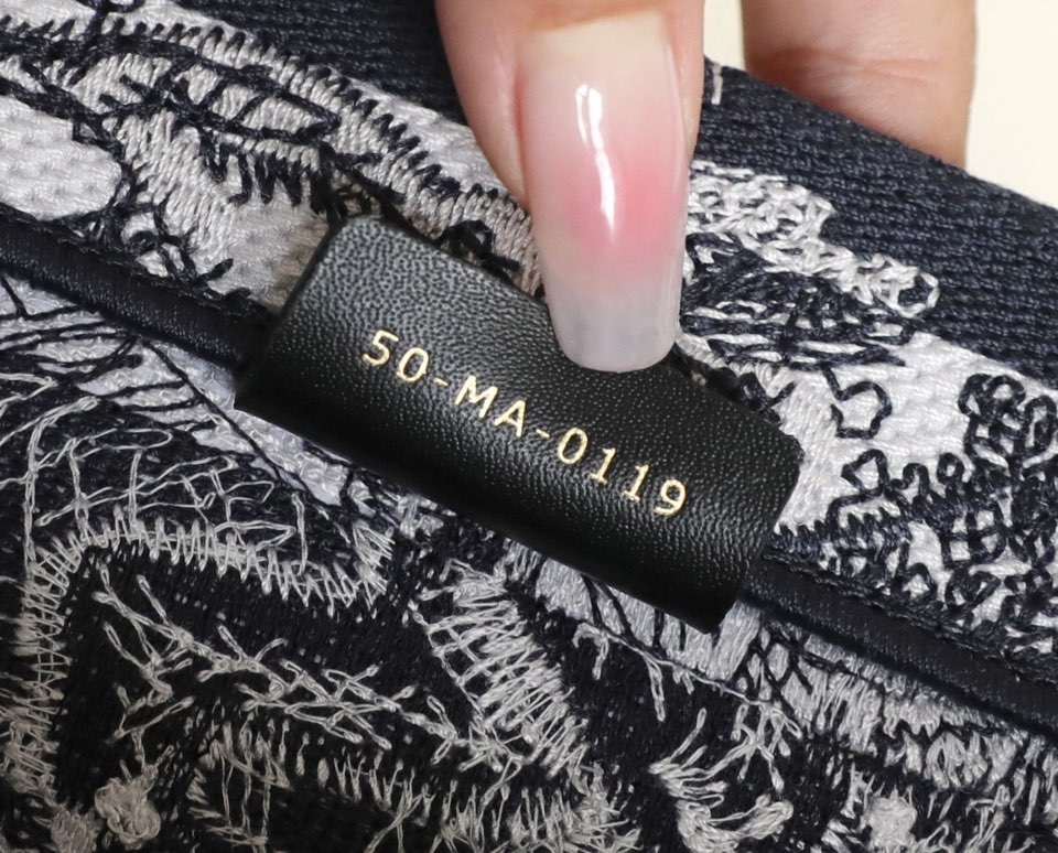 DIOR TOTE blue striped tiger