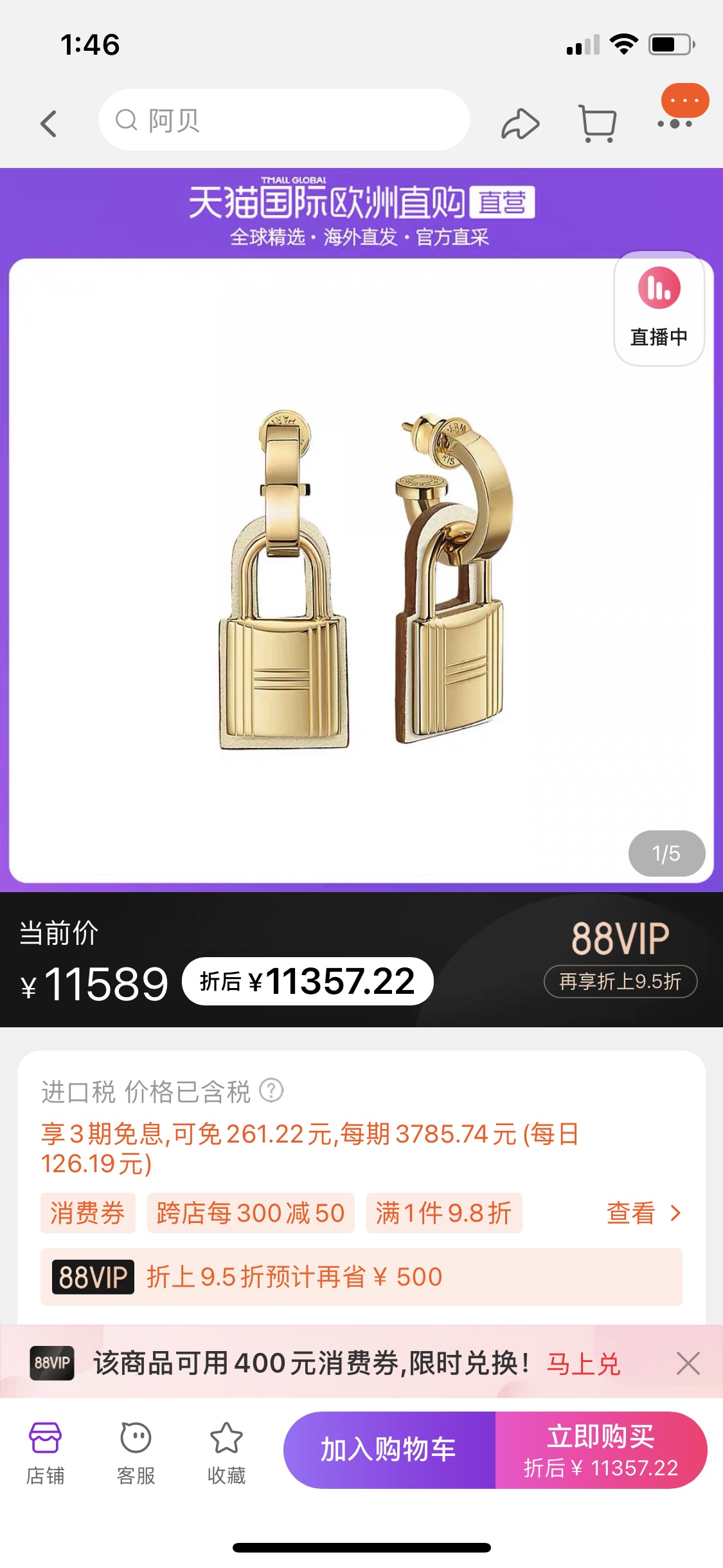 Hermes Earrings