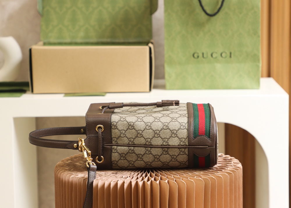 GUCCI 𝐎𝐩𝐡𝐢𝐝𝐚 𝐆𝐆 Classic Family Bucket Bag #550621
