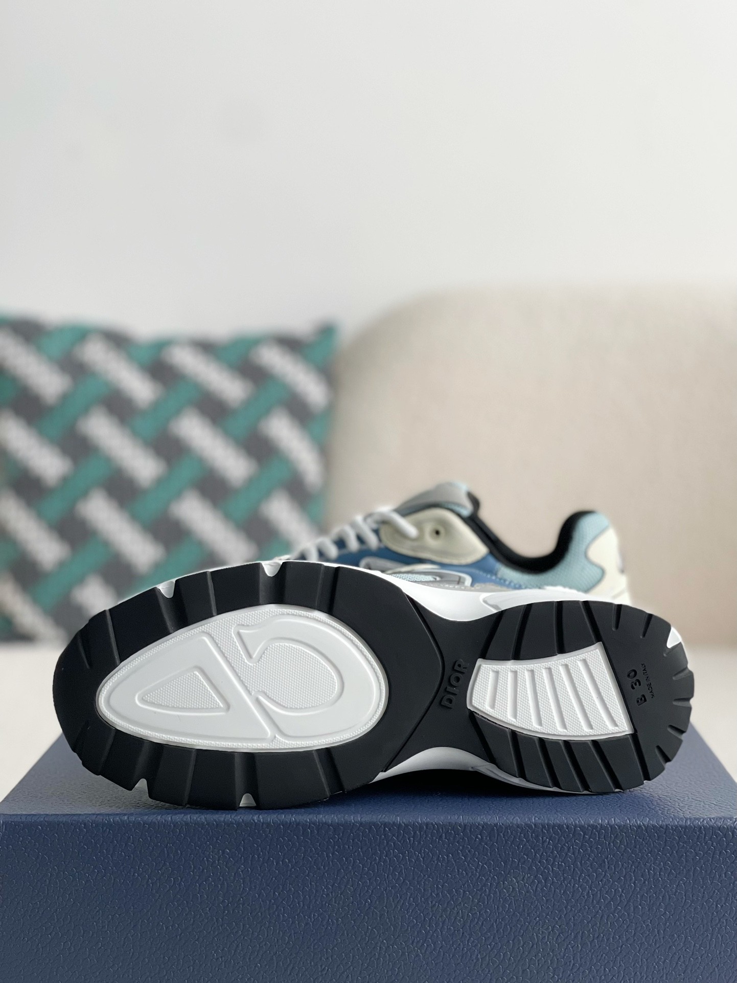 Dior B30 New Sneaker