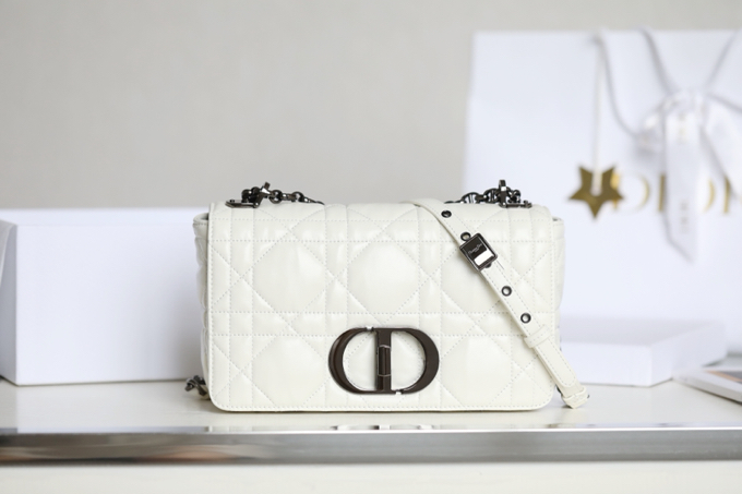 ▪️ DIOR CARO White Gunmetal Buckle DR-061