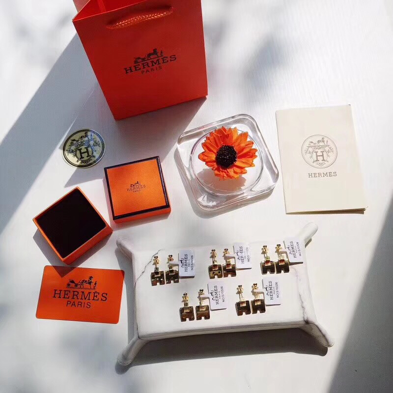 Hermes Earrings