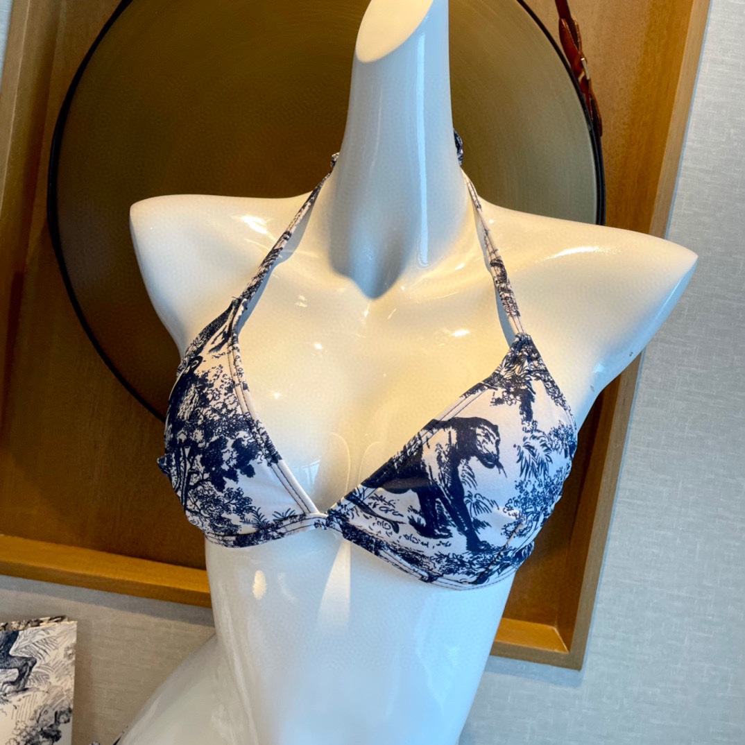 Dior new letter bikini
