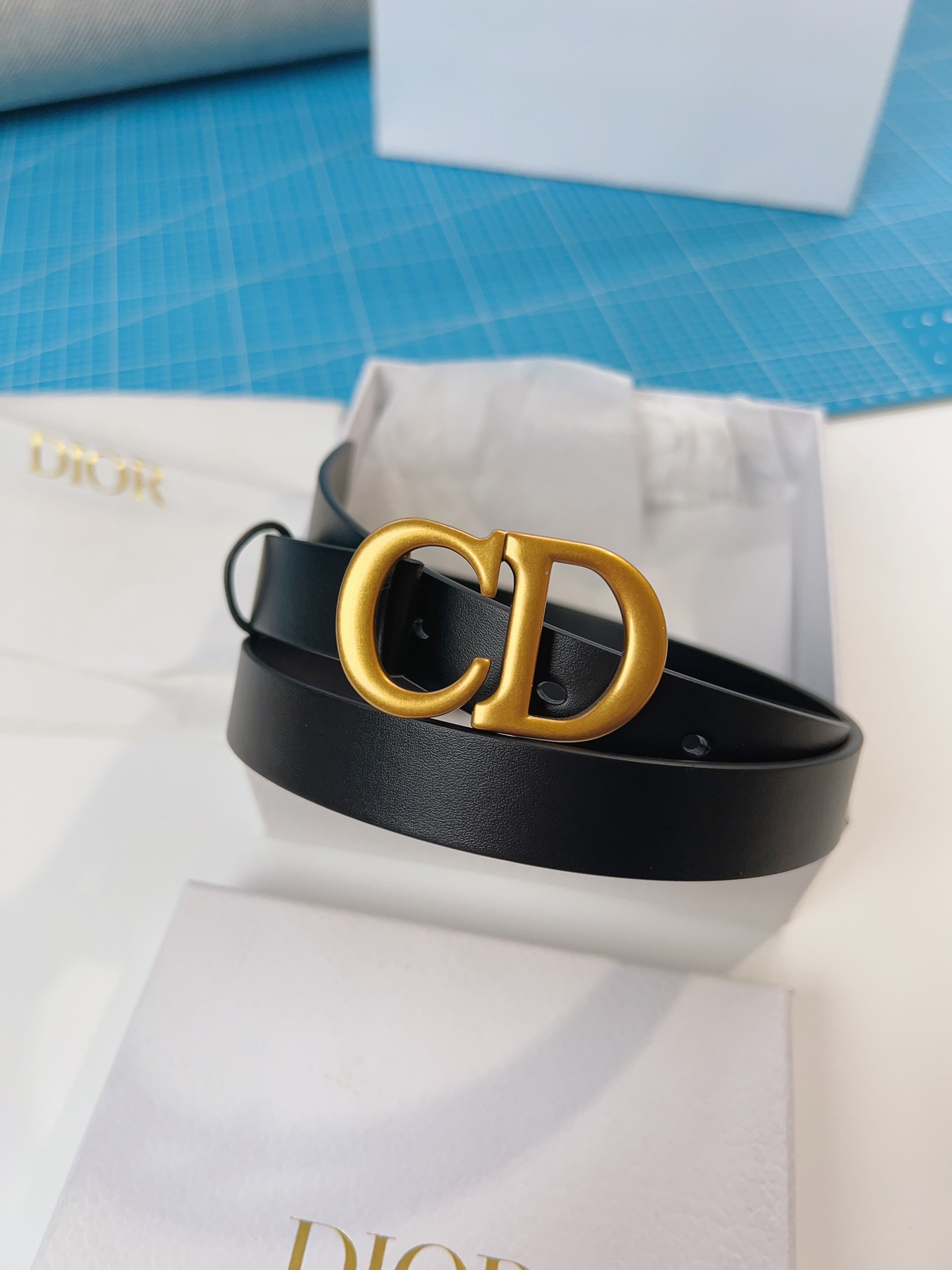 DIOR belt