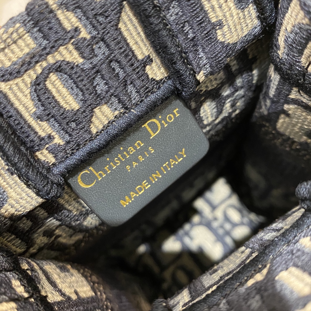 Dior Tote latest vertical version mini