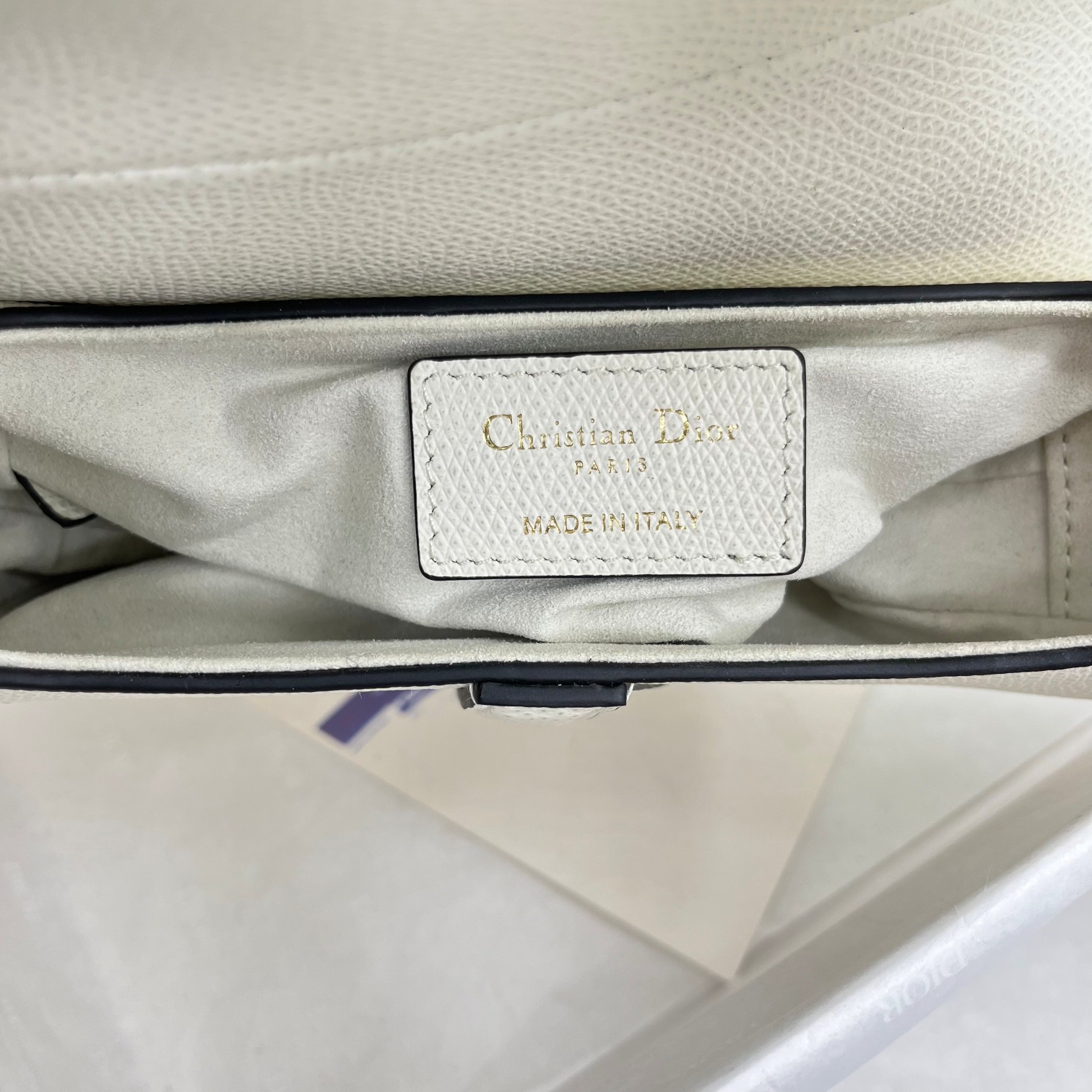 Dior saddle palm print collection