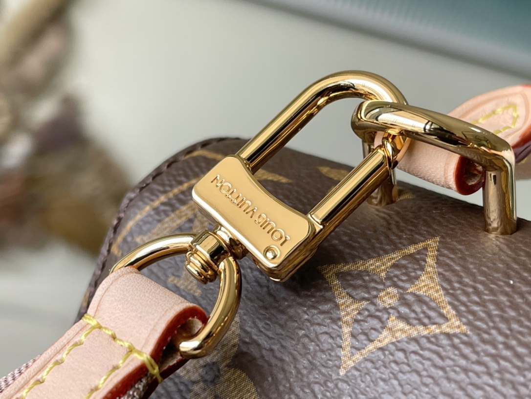 𝐋𝐎𝐔𝐈𝐒 𝐕𝐔𝐈𝐓𝐓𝐎𝐍   M46055