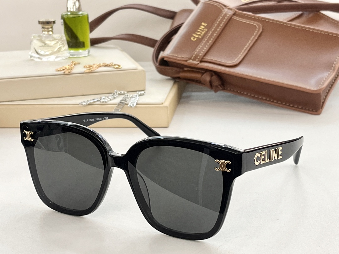 celine with glasses phone pouch