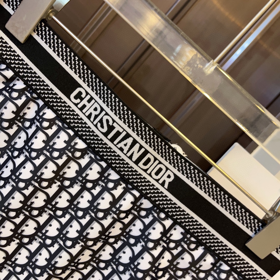 Dior Bikini Swimwear