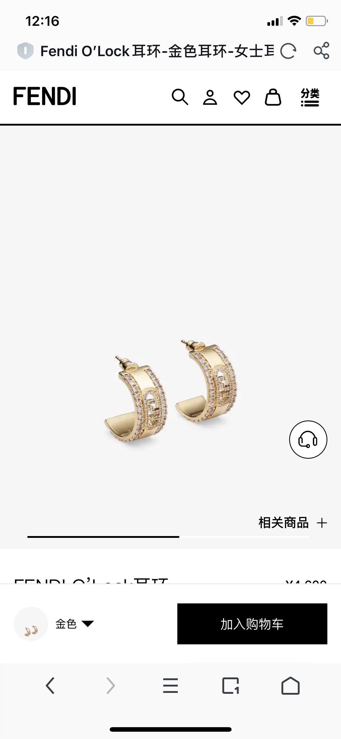 Fendi Earrings