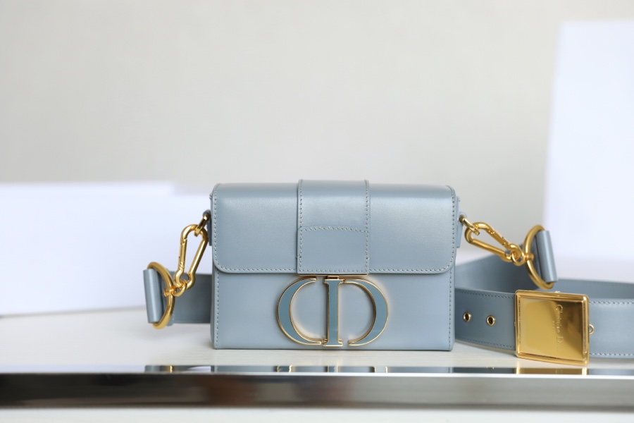 Montaigne enamel buckle box bag