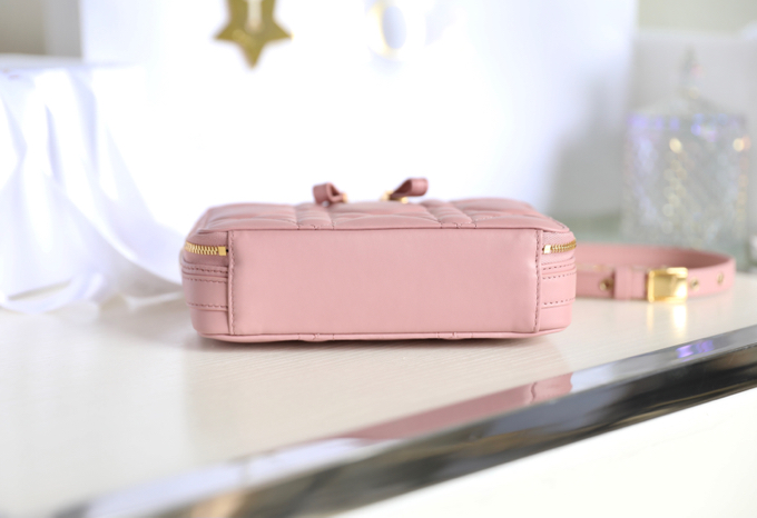 Dior box camera bag