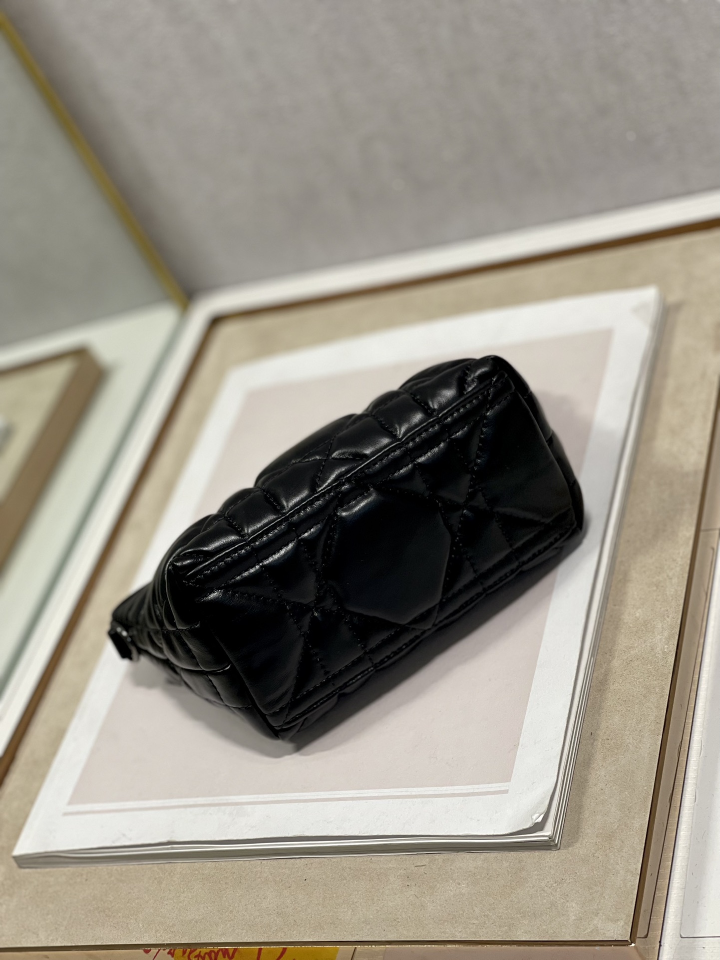 Dior Travel Nomad Clutch Bag