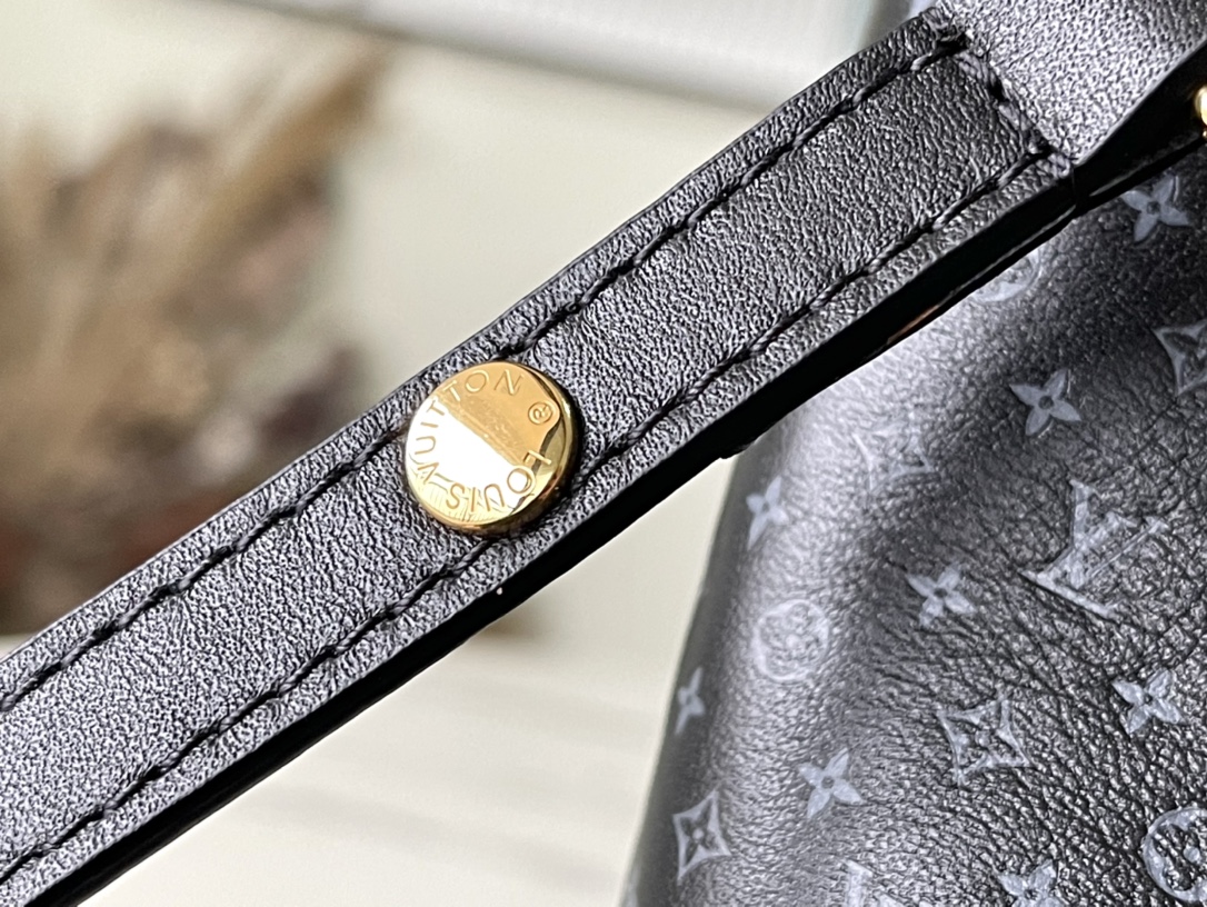 𝐋𝐎𝐔𝐈𝐒 𝐕𝐔𝐈𝐓𝐓𝐎𝐍     M22598