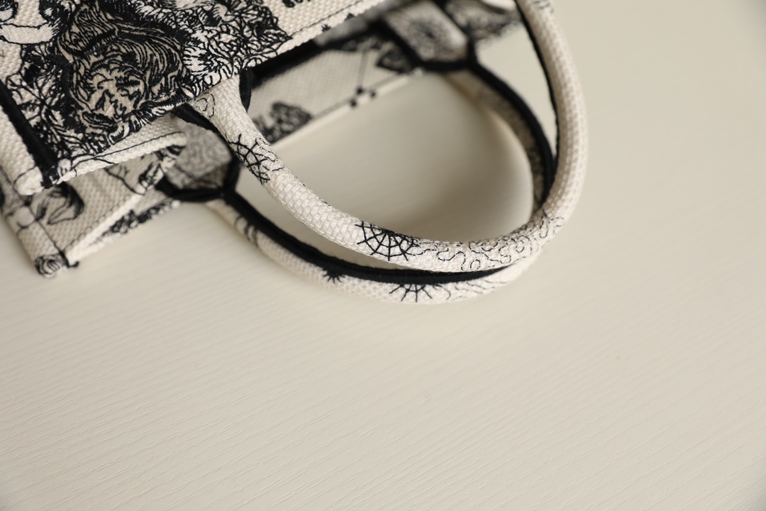 DIOR TOTE new constellation embroidery