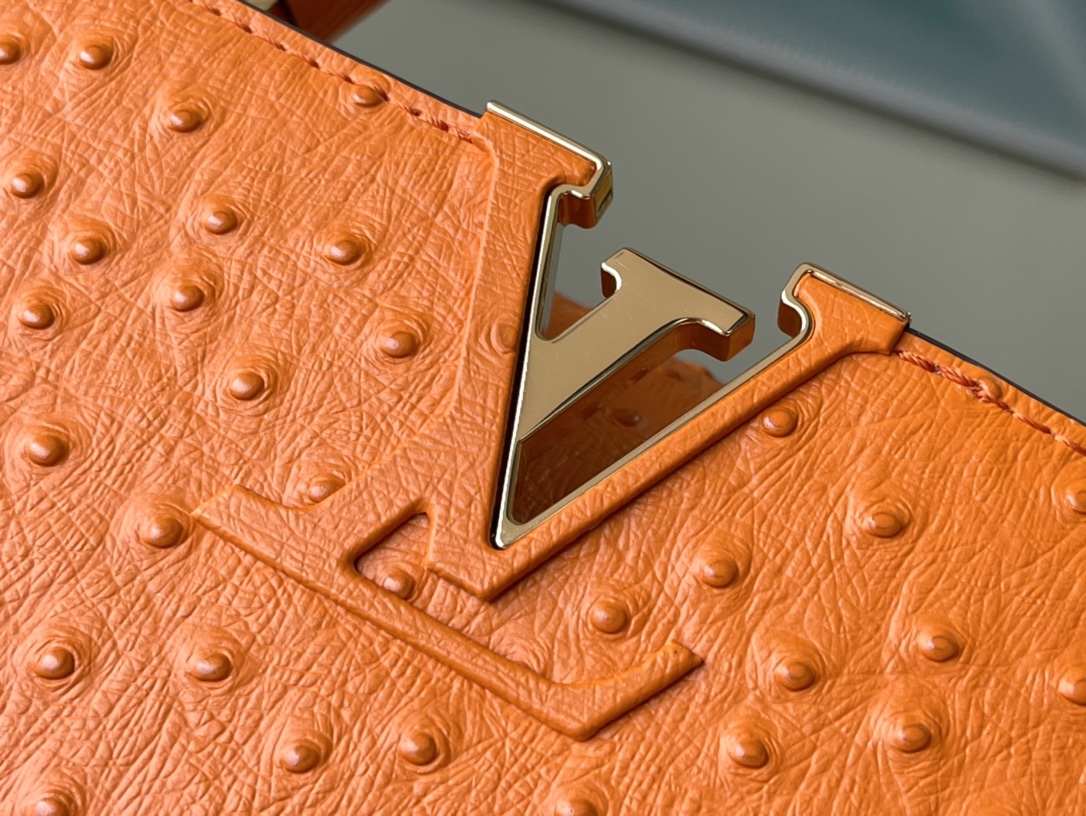 𝐋𝐎𝐔𝐈𝐒 𝐕𝐔𝐈𝐓𝐓𝐎𝐍    M95393