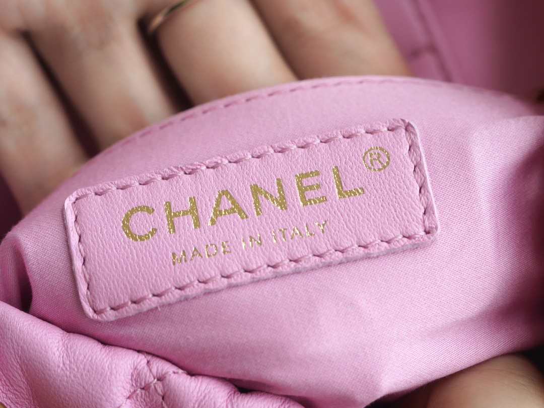 𝗖𝗛𝗔𝗡𝗘𝗟✦ 23p mini 22bag Little Lucky Bags