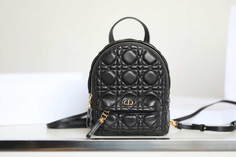 DIOR BACKPACK mini duffel bag DR-09