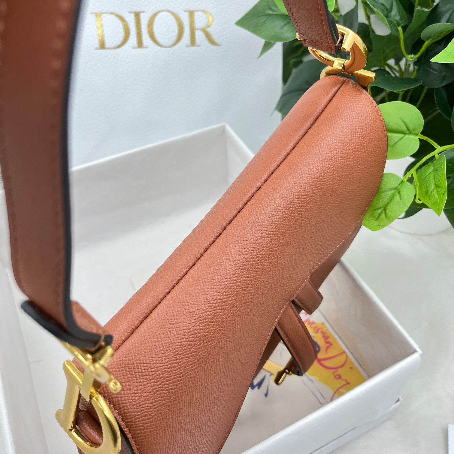 Dior saddle palm print collection