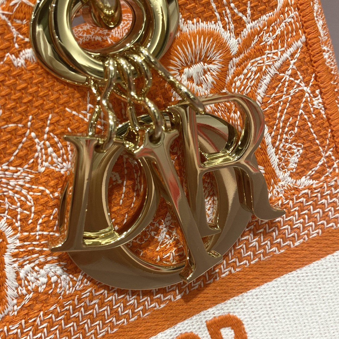 LADY DIOR new tiger embroidery fluorescent series