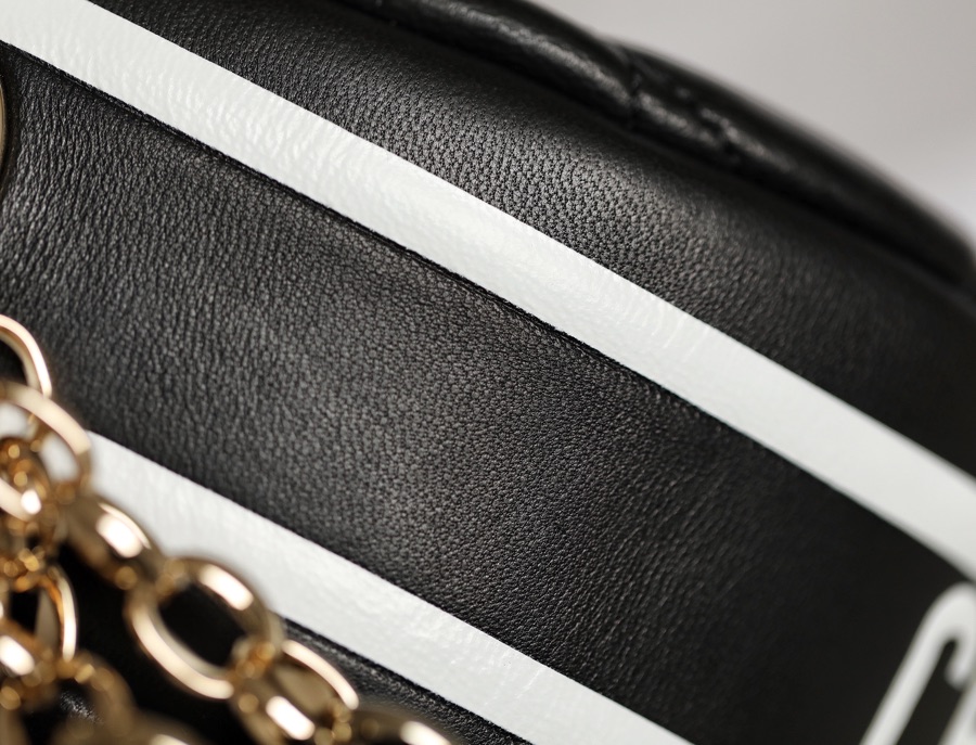 DIOR VIBE small dumpling bag