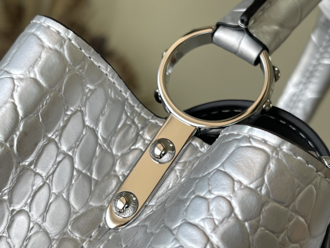 𝐋𝐎𝐔𝐈𝐒 𝐕𝐔𝐈𝐓𝐓𝐎𝐍   N93163