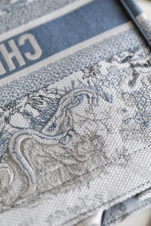 DIOR TOTE Gradient Tiger