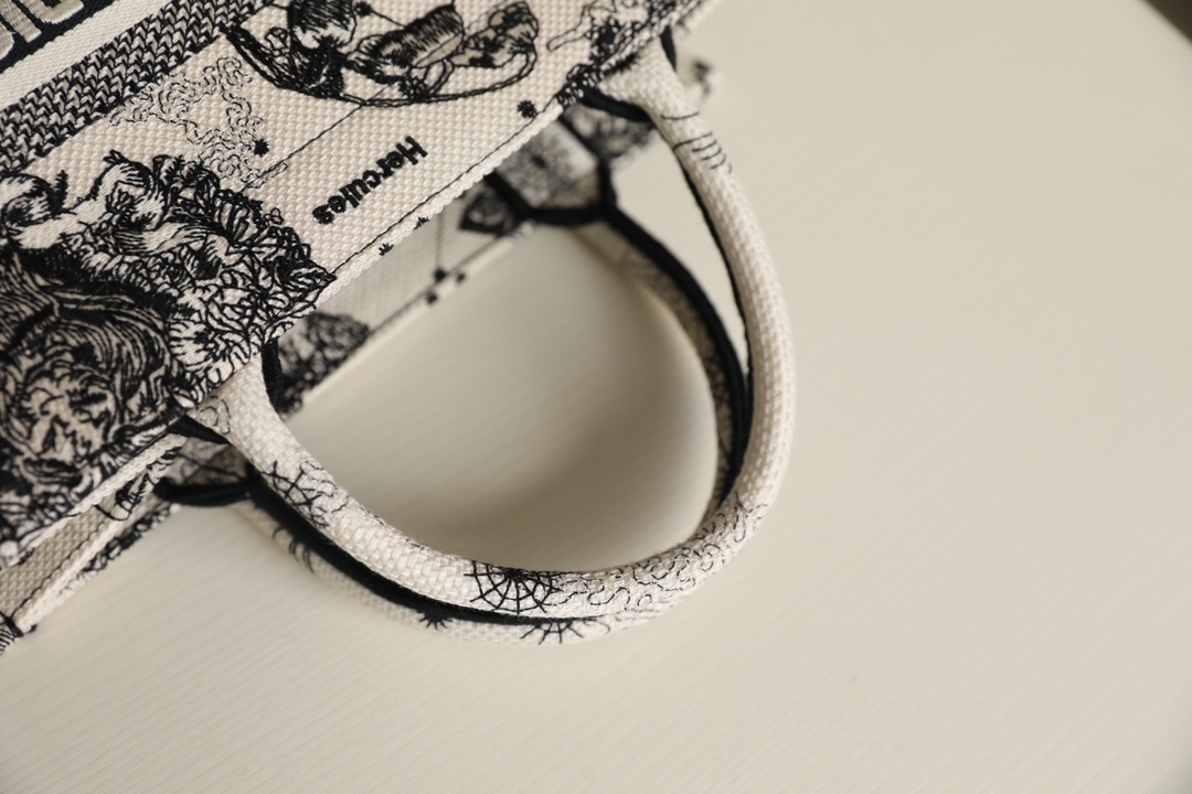 DIOR TOTE new constellation embroidery