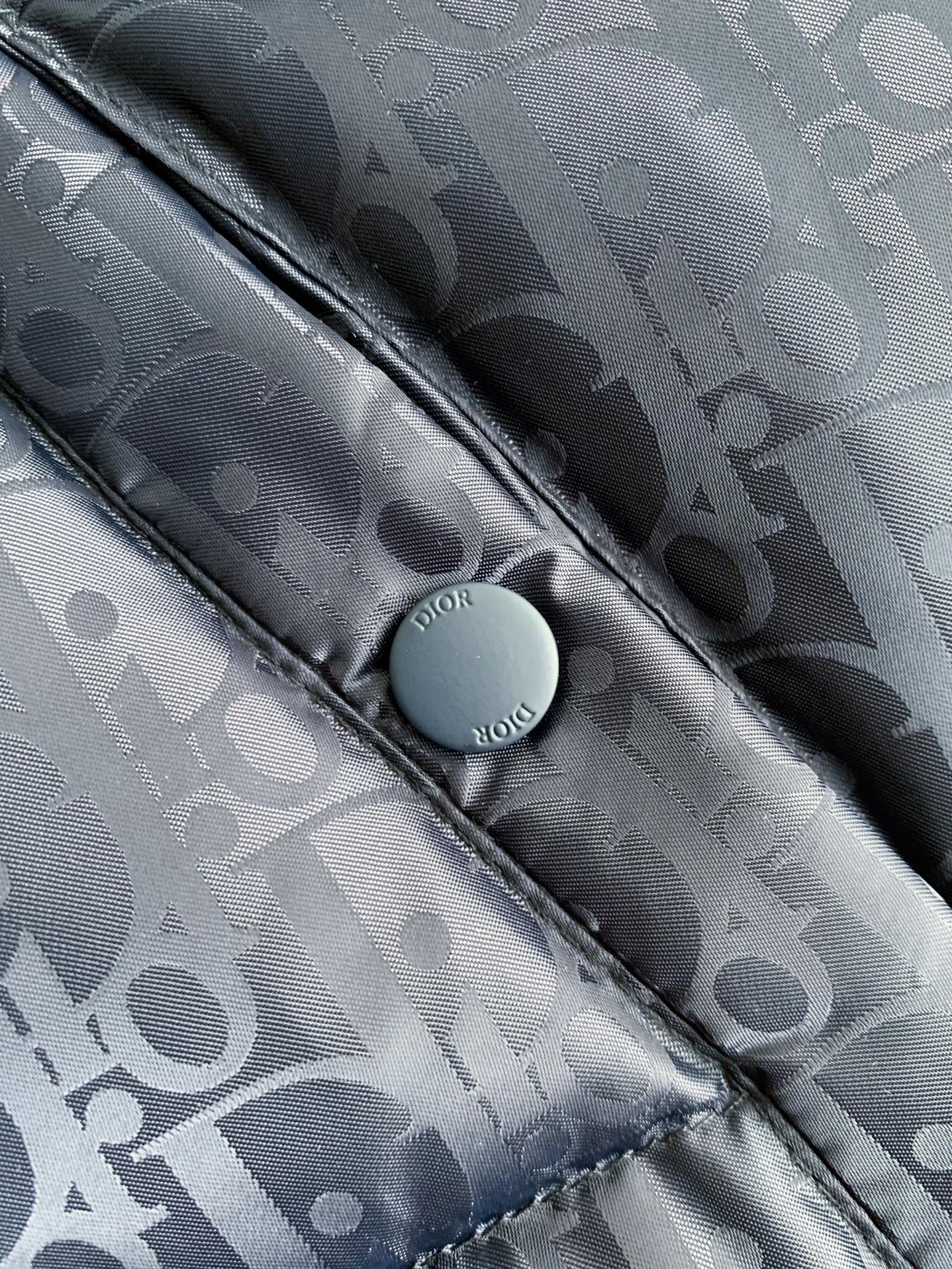 Dior men's Down Jackets