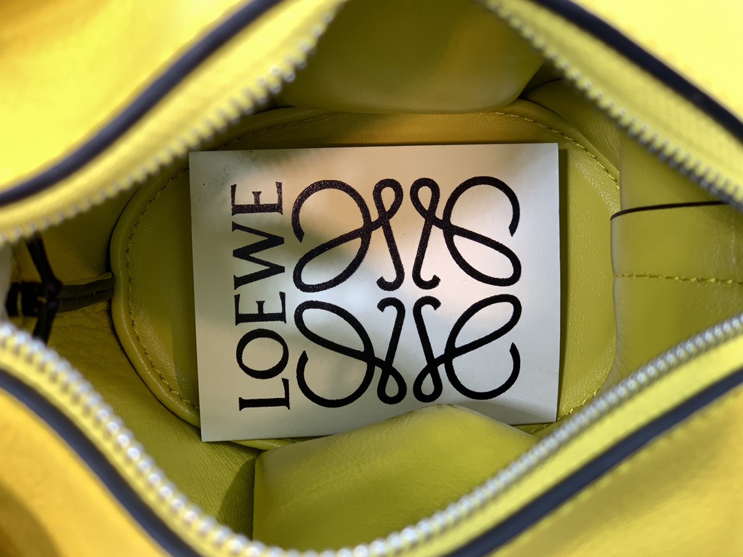 LOEWE Luojia elephant 🐘 shoulder bag