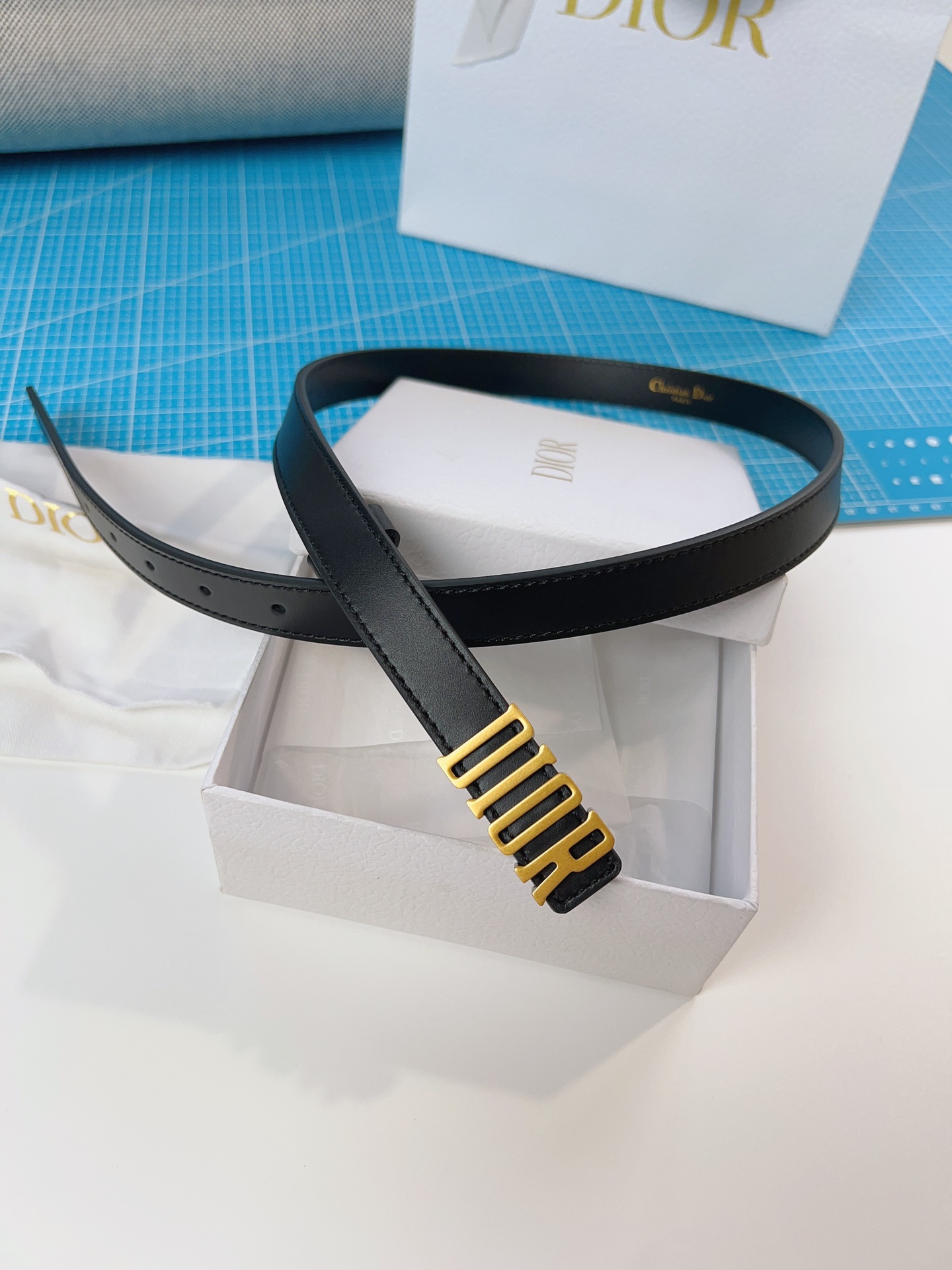 DIOR belt