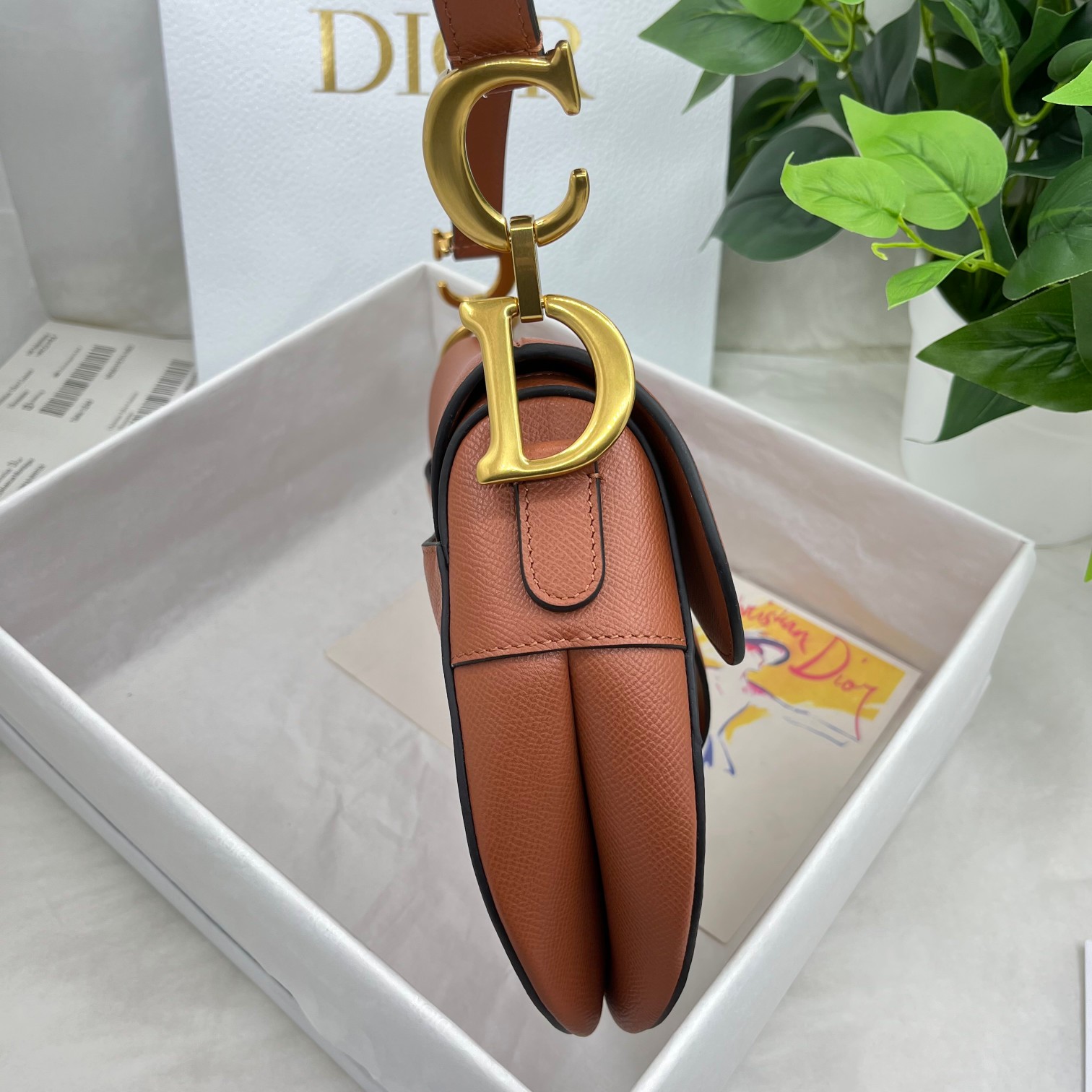 Dior saddle palm print collection